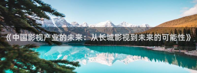 酷客影院我的姐姐：《中国影视产业的未来：从长城影视到未来的可能性》