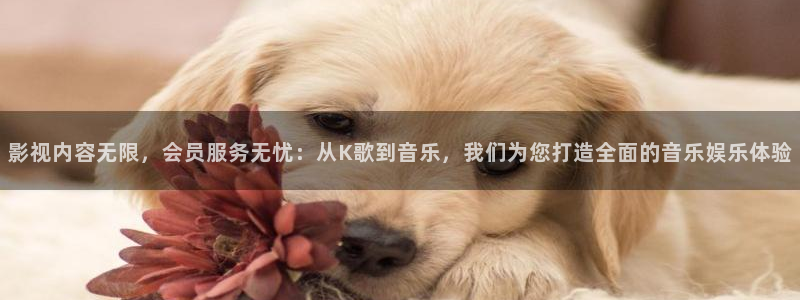 加班后开始酷客影院：影视内容无限，会员服务无忧：从K歌到音乐，我们为您打造全面的音乐娱乐体验