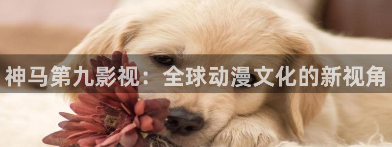 酷客影院手机在线观看最新：神马第九影视：全球动漫文化的新视角