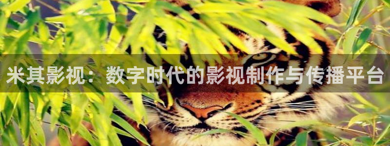 酷客影院官网：米其影视：数字时代的影视制作与传播平台
